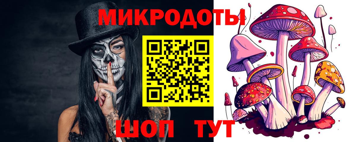 Сорочинск  Псилоцибиновые грибы ЛСД  Вход с VPN 